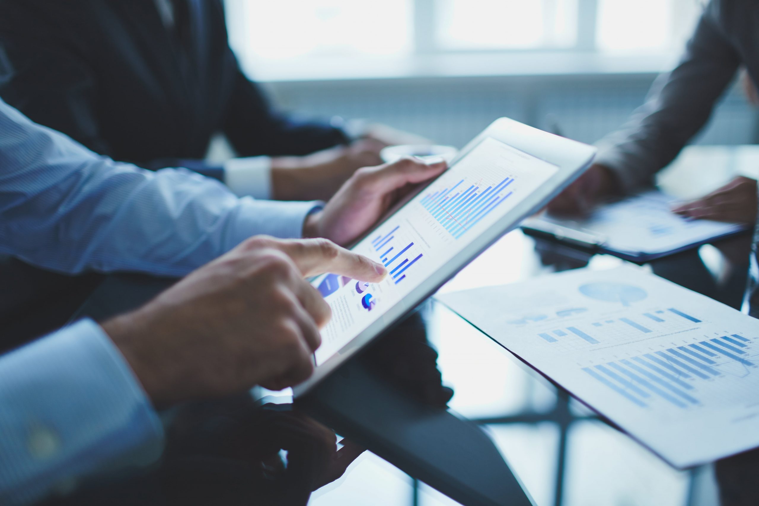 jasa pembuatan software e-government